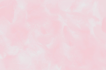 Beautiful abstract colorful white and pink feathers on white background and soft white feather texture on white pattern and light pink background valentine day