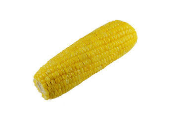 Single sweet corn isolated on white background