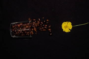 Coffee beans with yellow flowers and green leaves. captured from top view