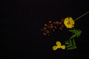 Coffee beans with yellow flowers and green leaves. captured from top view
