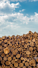 Pile of stacked wood logs with the sky as background.