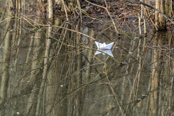 A paper boat sails on a forest lake