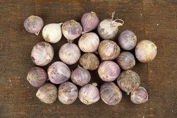 Small solo single clove garlic monobulb garlic single bulb garlic pearl garlic rustic wood background