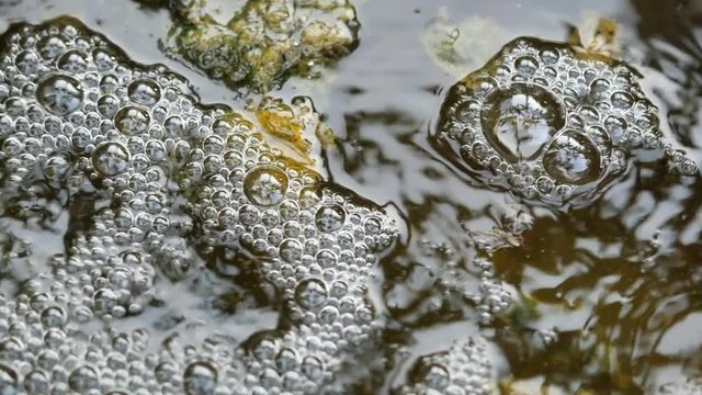 White foam bubbles moving on the brown water surface in the wastewater treatment pond, Waste water is sprayed from the pipe
