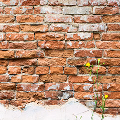 Red old brick wall as background