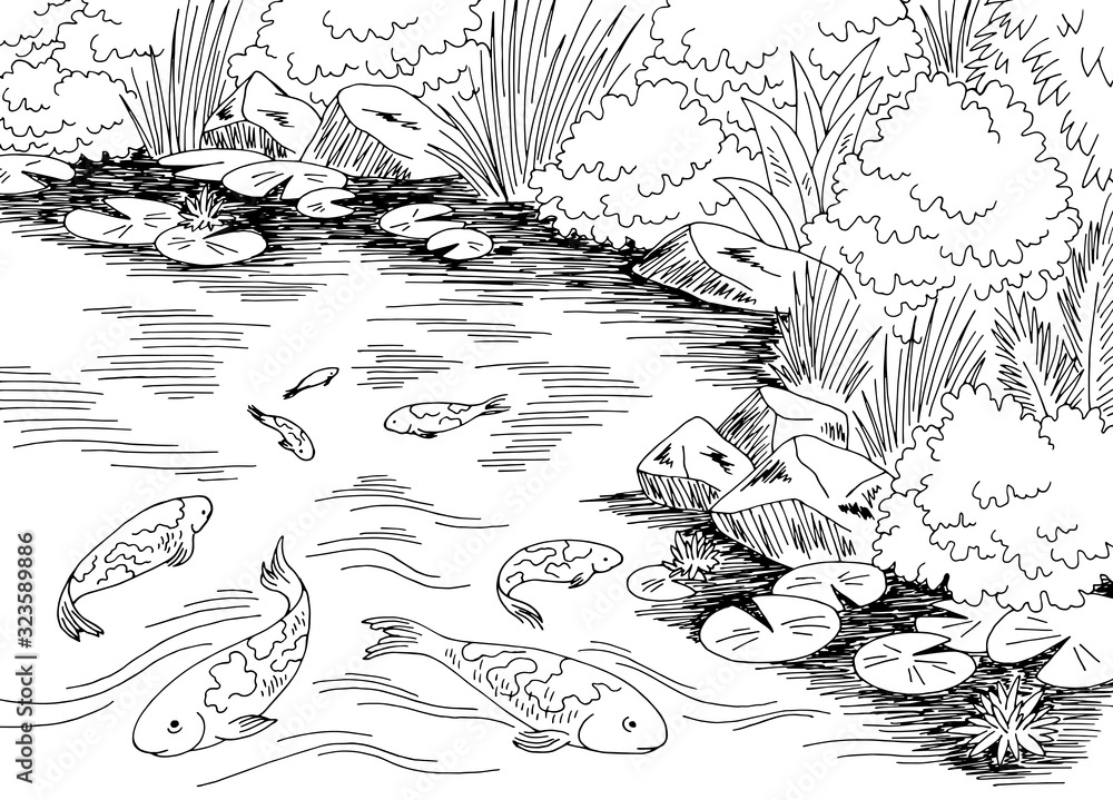 Wall mural pond koi carp fish graphic black white landscape sketch illustration vector