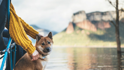 tourist friend girl together tender dog on background mountain, female hands hugging puppy pet on...