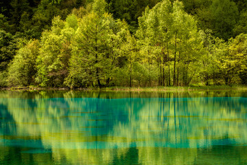 lake in the forest in Jiuzhaigou, China.