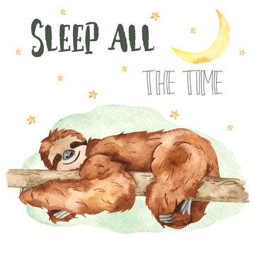 Watercolor card with cute sloth sleeping on a tree and stars