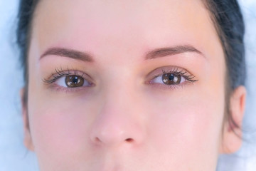 Eye of young woman after lash laminating and painting eyebrows procedures. Closeup portrait of girl brunette in beauty clinic. Beauty industry concept.