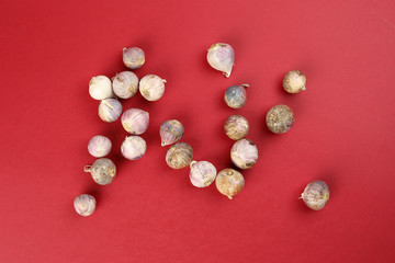 Small solo single clove garlic monobulb garlic single bulb garlic pearl garlic