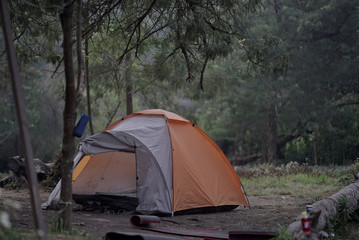 camping in the forest