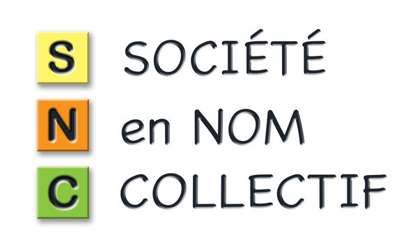 SNC initials in colored 3d cubes with meaning in french language