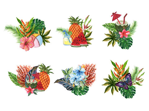 hand drawn tropical summer bouquet watercolor rainforest botanicle food fruit seaweed coral plants set
