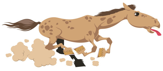 Horse runs galloping. Funny animal.