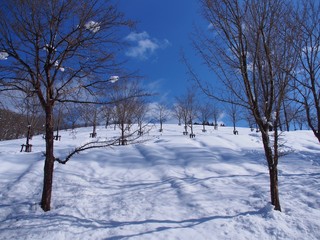 青空と雪景色