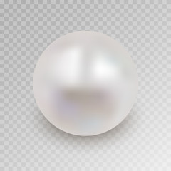 Realistic white pearl with shadow isolated on transparent background. Shiny oyster pearl for luxury accessories. Sphere shiny sea pearl. Beautiful natural white pearl. Shiny 3D jewel with light effe