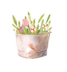 Grey metal bucket with pink, red, yellow flowers - watercolor illustration. Decorative composition perfect graphics for garden party invitations, print, greeting cards, wrapping paper.