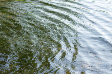 Backgrounds Water wave From the wind blowing