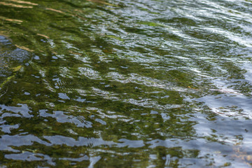 Backgrounds Water wave From the wind blowing