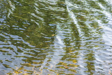 Backgrounds Water wave From the wind blowing