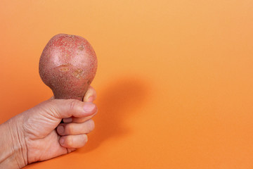 Female hand gripping non-standard ugly fresh raw potato on trendy yellow-orange background with...