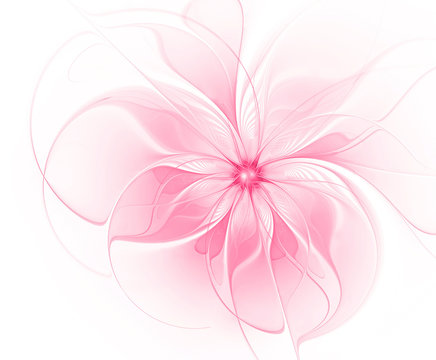 Beautiful fractal pink flower close-up white background