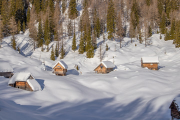Mountain cabins in Dedno polje, Bohinj