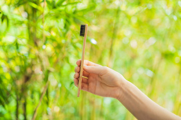 Bamboo toothbrush on a background of green growing bamboo