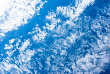 羊雲のような雲が広がる青い空
