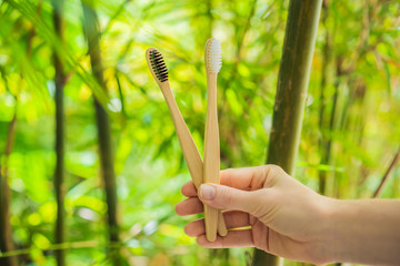 Bamboo toothbrush on a background of green growing bamboo