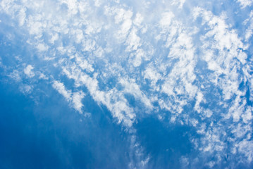 Fototapeta na wymiar 羊雲のような雲が広がる青い空