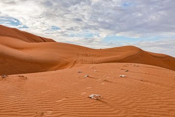 Polluted Desert with Garbage on Sand