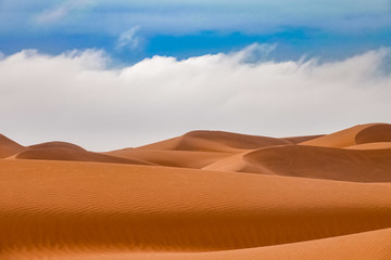 Fototapeta na wymiar Sand Dunes in Wahiba Sands Desert, Oman
