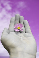 flower in hand