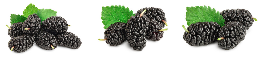Mulberry with leaf isolated on white background. Set or collection