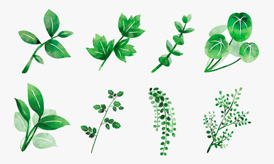 手書き風ボタニカルセット