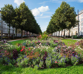 Bordeauxplatz in der Münchner Innenstadt, Blumenbeet mit Sommerblumen und grüne Allee