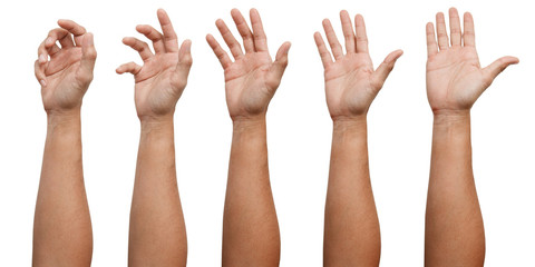 GROUP OF Male Asian hand gestures isolated over the white background. Soft Grab Action. Touch...