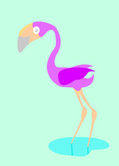 illustration of pink flamingo