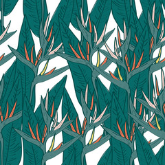 Seamless pattern with strelitzia flowers leaf sketch, black contour pink coral yellow green background. simple ornament, Can be used for Gift wrap, fabrics, wallpapers. Vector