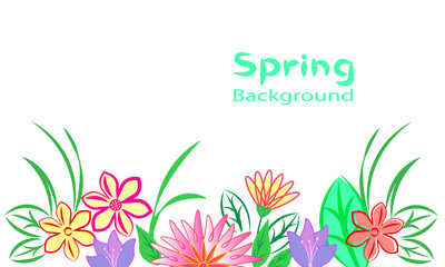 Spring background, wild flowers and grass, line drawing, copy space.