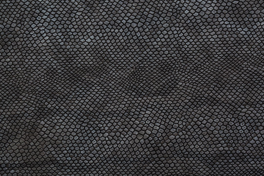 snake scales texture