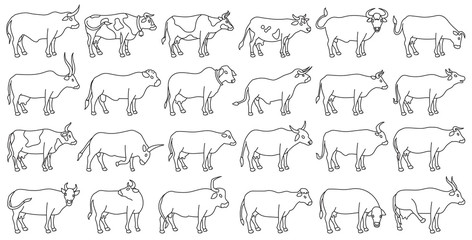 Cow of animal vector outline set icon.Isolated outline icon farm animal of cow.Vector illustration cattle for farm on white background.