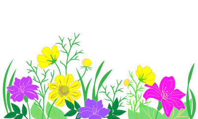 Wild flowers. floral spring background, copy space. 