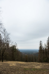 Fototapeta premium Ausblick von Wald ins Tal