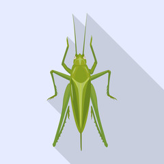 Grasshopper vector icon.Flat vector icon isolated on white background grasshopper.