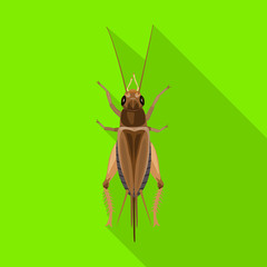 Grasshopper vector icon.Flat vector icon isolated on white background grasshopper.