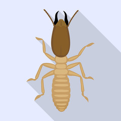Soldier termite vector icon.Flat vector icon isolated on white background soldier termite.