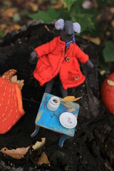 Grey  handmade mouse in the red coat has a breakfast